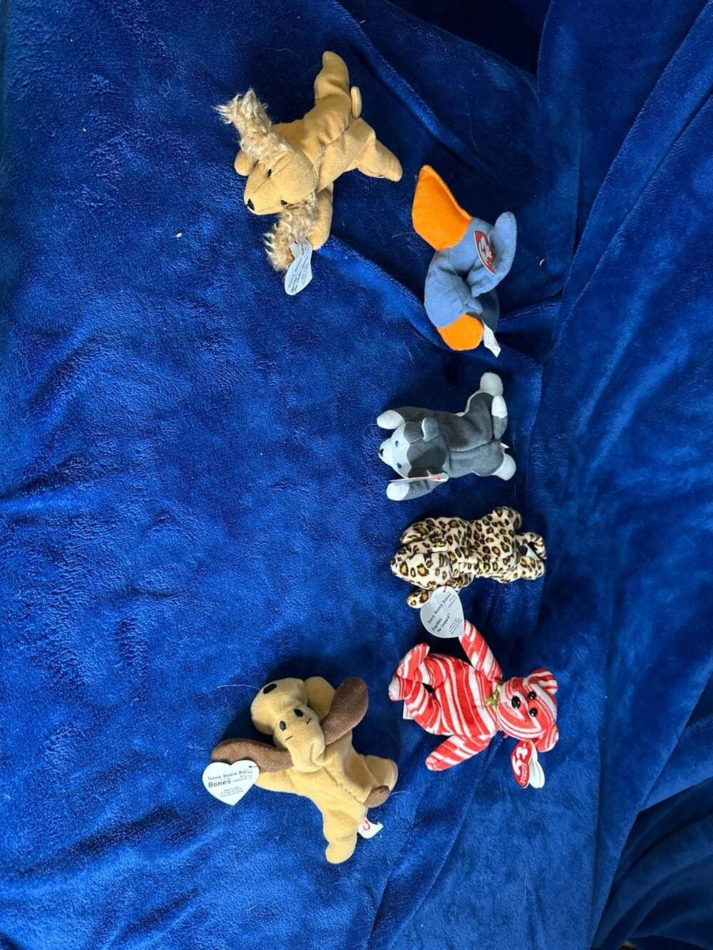 Ty Teenie Beanie Babies and Jingle Beanies Lot of 6 Plush Toys
